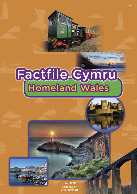 Llun o 'Factfile Cymru: Homeland Wales' gan Elin Meek